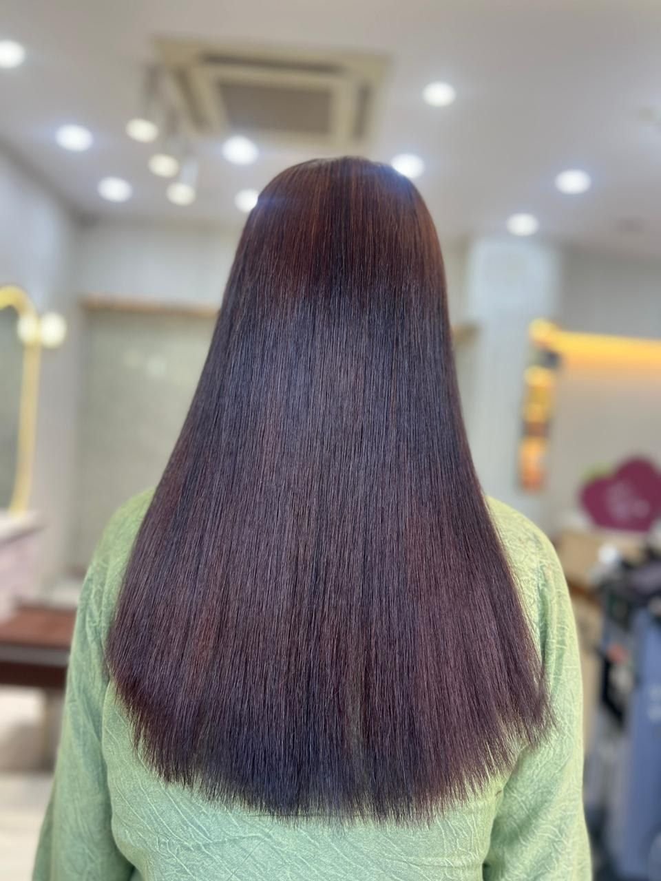 Back view of long, straight hair in a dark shade with a plum tint